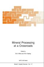 Mineral Processing at a Crossroads