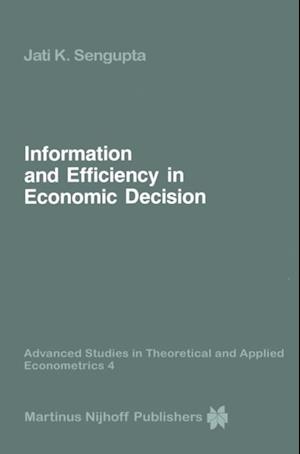 Information and Efficiency in Economic Decision