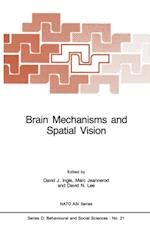 Brain Mechanisms and Spatial Vision