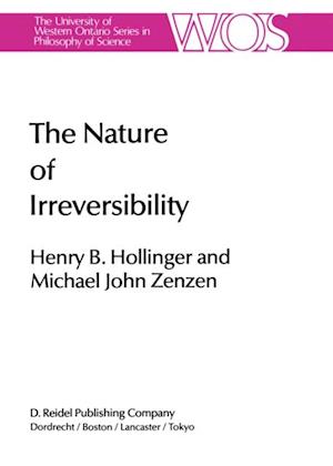 Nature of Irreversibility