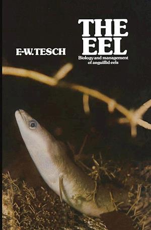 The Eel