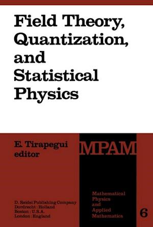 Field Theory, Quantization and Statistical Physics