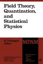 Field Theory, Quantization and Statistical Physics