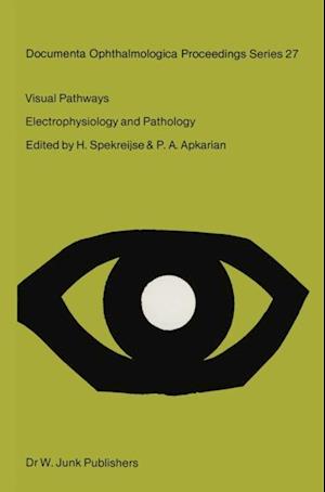 Visual Pathways