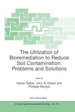 Utilization of Bioremediation to Reduce Soil Contamination: Problems and Solutions