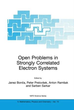 Open Problems in Strongly Correlated Electron Systems