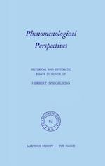 Phenomenological Perspectives