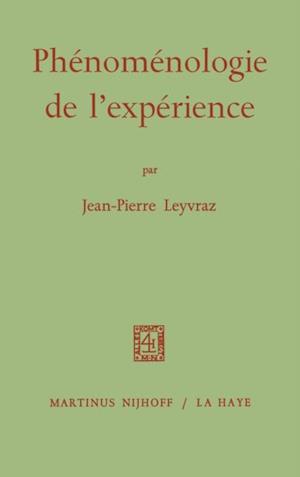 Phenomenologie de L'experience