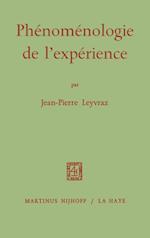 Phenomenologie de L'experience