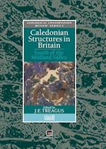 Caledonian Structures in Britain