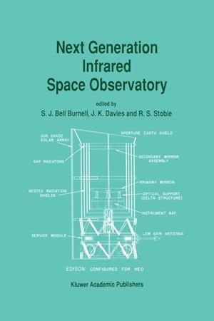 Next Generation Infrared Space Observatory