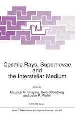 Cosmic Rays, Supernovae and the Interstellar Medium