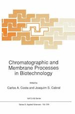 Chromatographic and Membrane Processes in Biotechnology