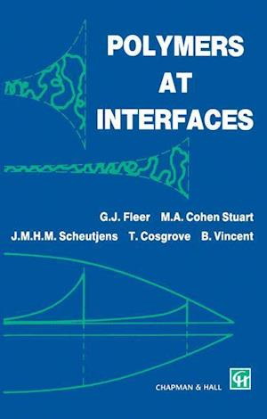 Polymers at Interfaces