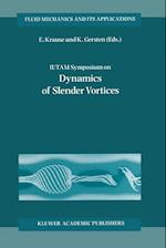 IUTAM Symposium on Dynamics of Slender Vortices