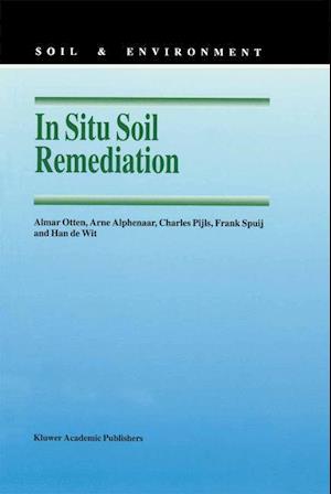 In Situ Soil Remediation