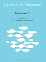 Saline Lakes