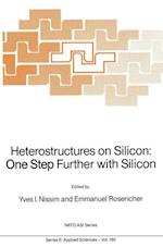 Heterostructures on Silicon: One Step Further with Silicon