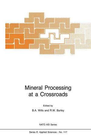 Mineral Processing at a Crossroads