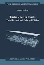 Turbulence in Fluids