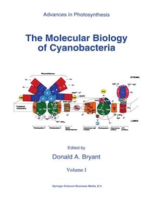 Molecular Biology of Cyanobacteria