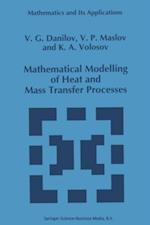 Mathematical Modelling of Heat and Mass Transfer Processes