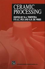 Ceramic Processing