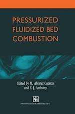 Pressurized Fluidized Bed Combustion