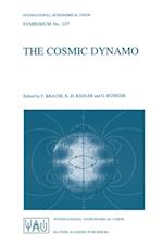 Cosmic Dynamo