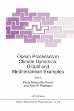 Ocean Processes in Climate Dynamics