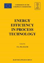 Energy Efficiency in Process Technology