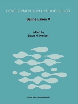 Saline Lakes V