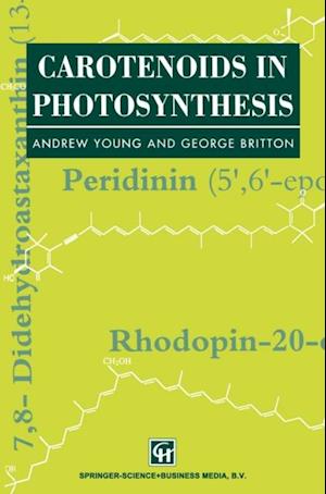 Carotenoids in Photosynthesis