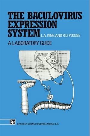 Baculovirus Expression System