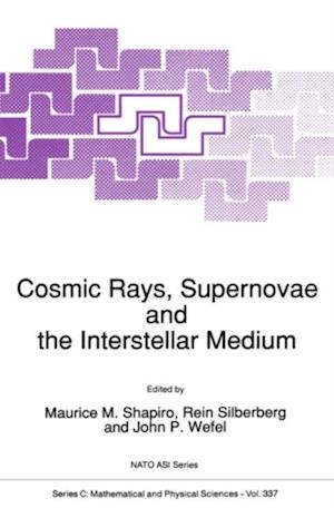 Cosmic Rays, Supernovae and the Interstellar Medium