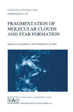 Fragmentation of Molecular Clouds and Star Formation