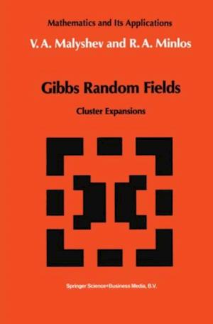 Gibbs Random Fields