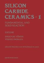 Silicon Carbide Ceramics-1