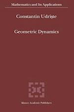 Geometric Dynamics 