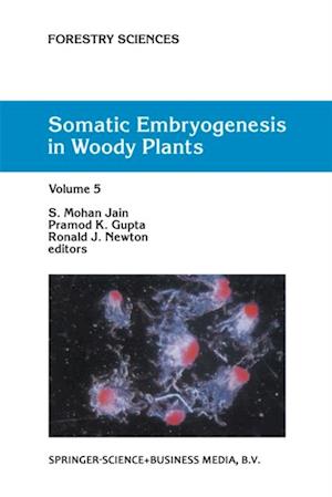 Somatic Embryogenesis in Woody Plants