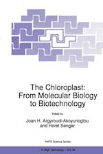 Chloroplast: From Molecular Biology to Biotechnology