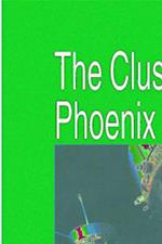 Cluster and Phoenix Missions