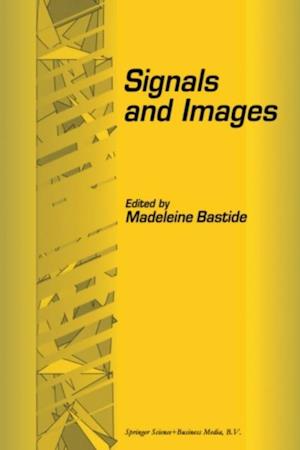 Signals and Images