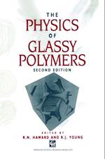 Physics of Glassy Polymers