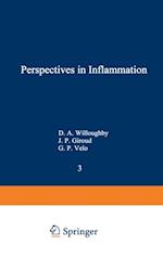 Perspectives in Inflammation