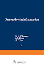 Perspectives in Inflammation