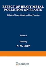 Effect of Heavy Metal Pollution on Plants