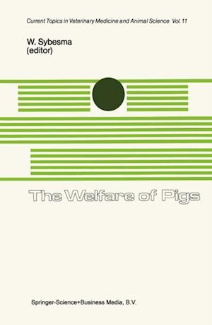 Welfare of Pigs