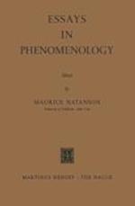 Essays in Phenomenology