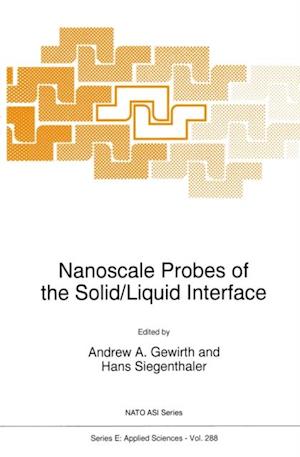 Nanoscale Probes of the Solid/Liquid Interface